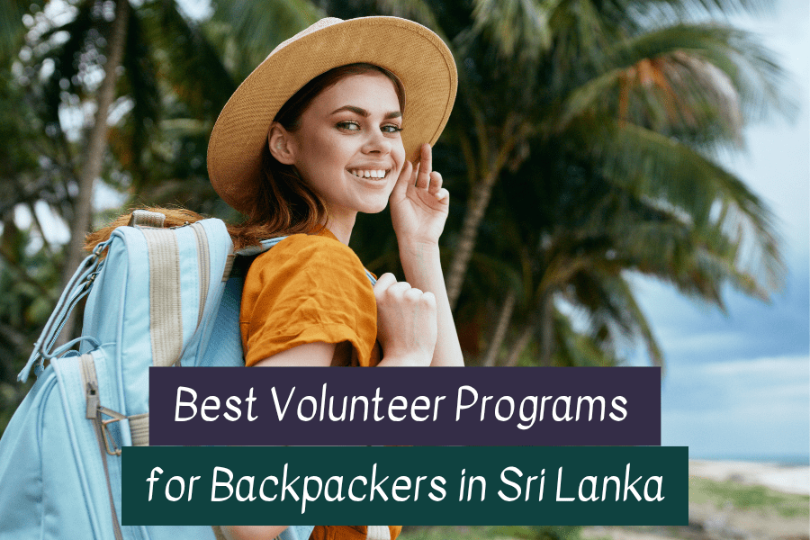 Volunteer in Sri Lanka