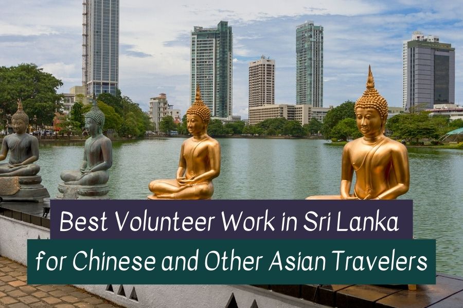 Volunteers in Sri Lanka