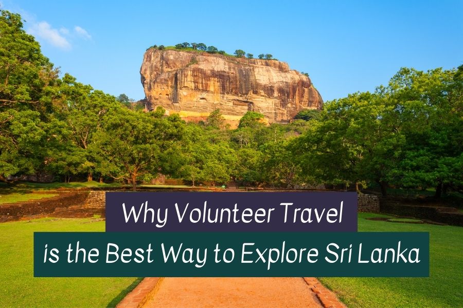 Volunteer in Sri Lanka