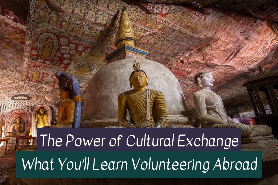 Volunteer in Sri Lanka