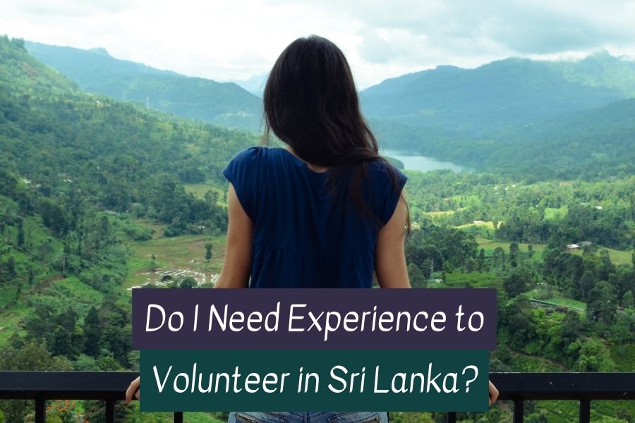 Volunteer in Sri Lanka