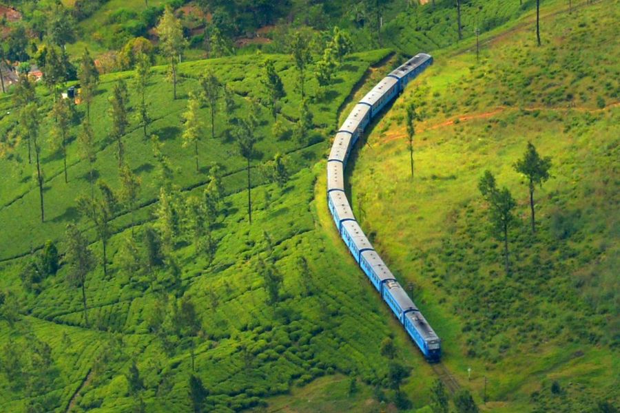 Train Ride to Ella and Nuwara Eliya