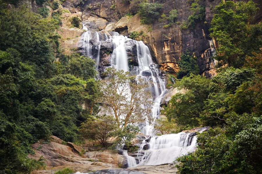 Hike in Sinharaja Rainforest