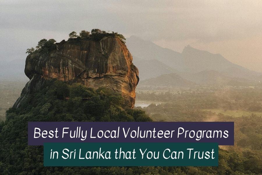 Volunteer in Sri Lanka