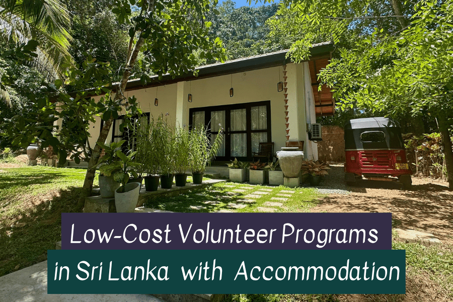 Volunteer in Sri Lanka