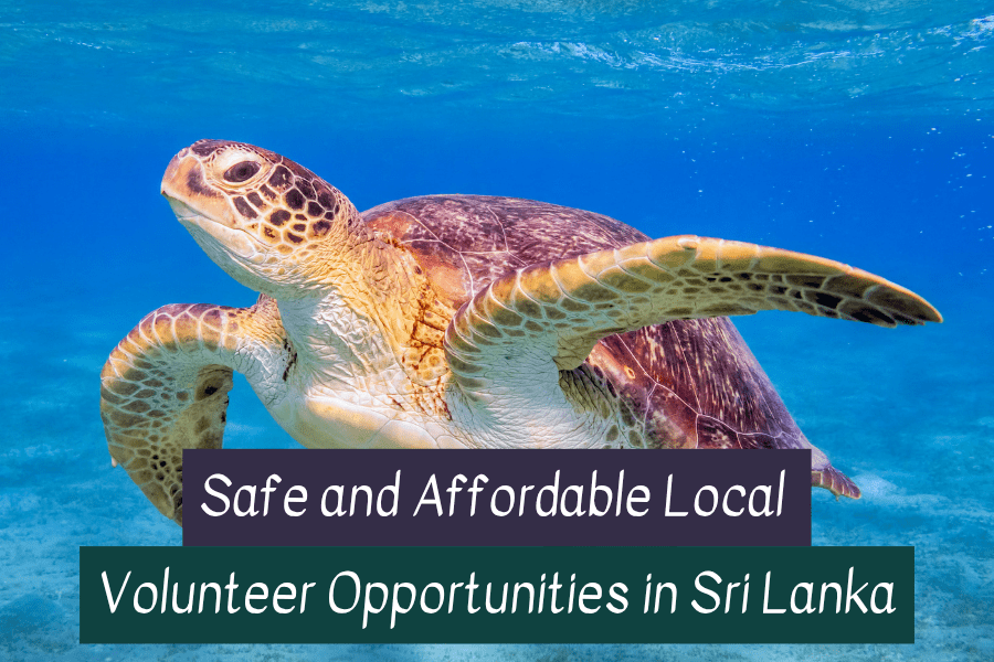 Volunteer in Sri Lanka
