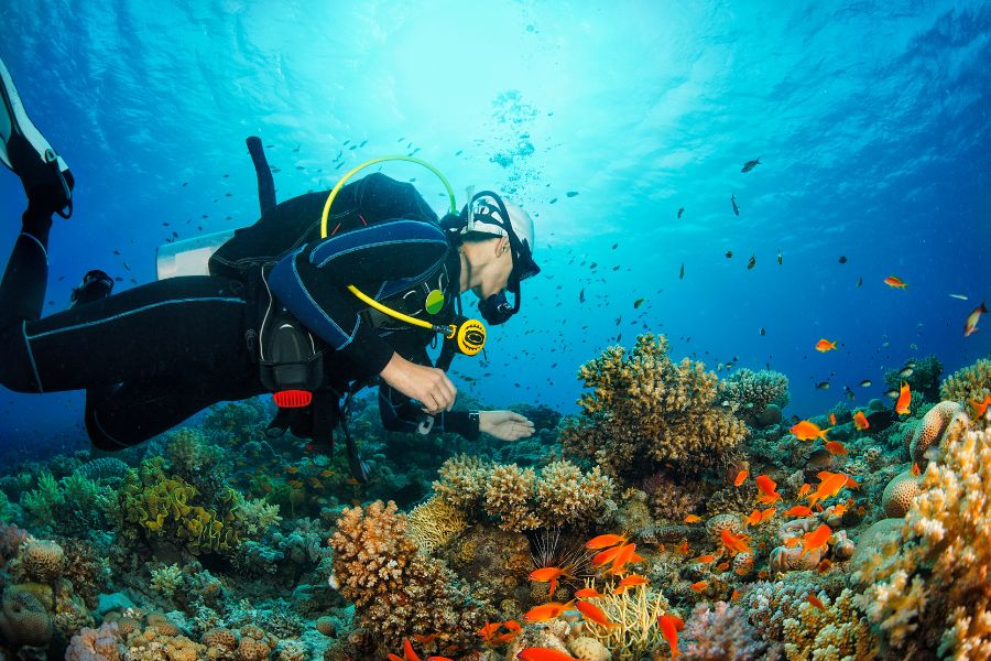 Why Volunteer in Sri Lanka?