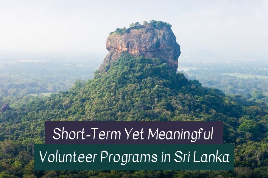 Volunteer in Sri Lanka