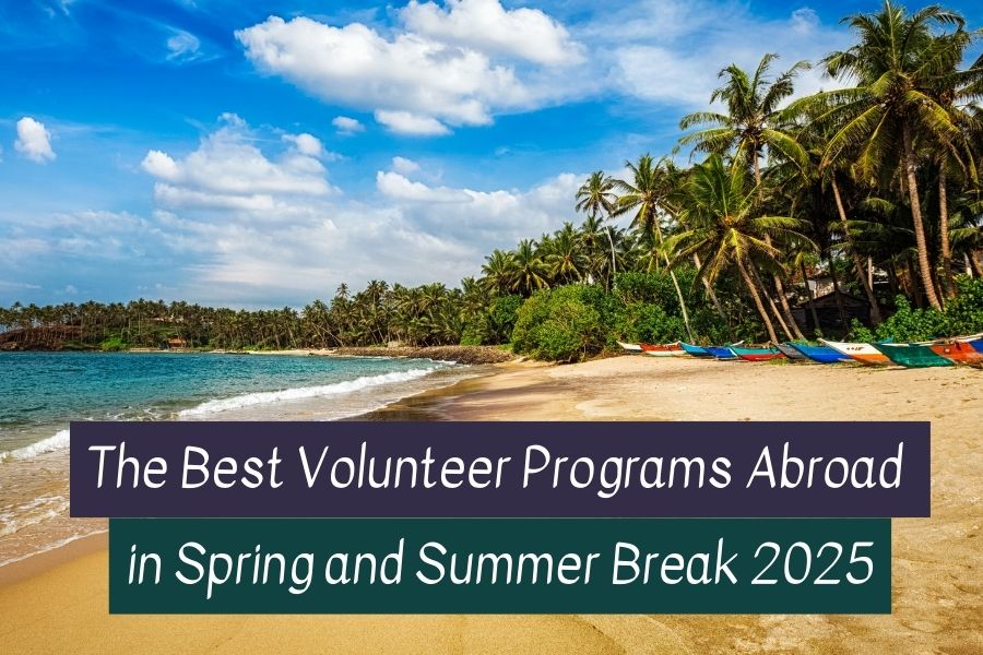 Volunteer in Sri Lanka
