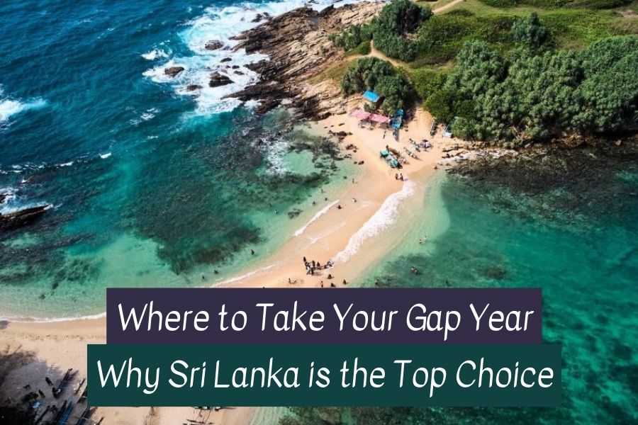 Volunteer in Sri Lanka