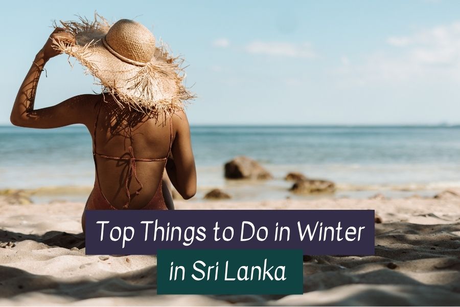 Volunteer in Sri Lanka