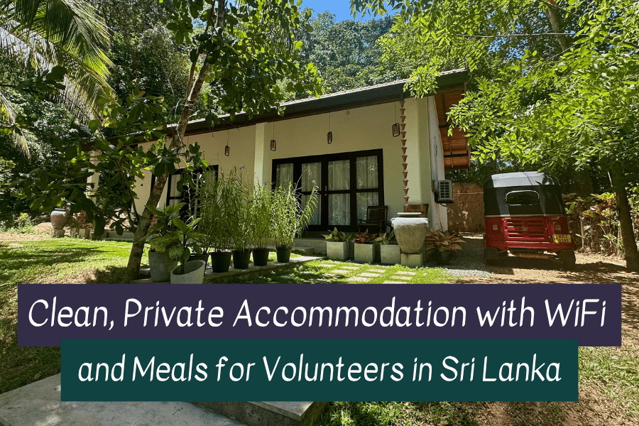 Volunteer in Sri Lanka