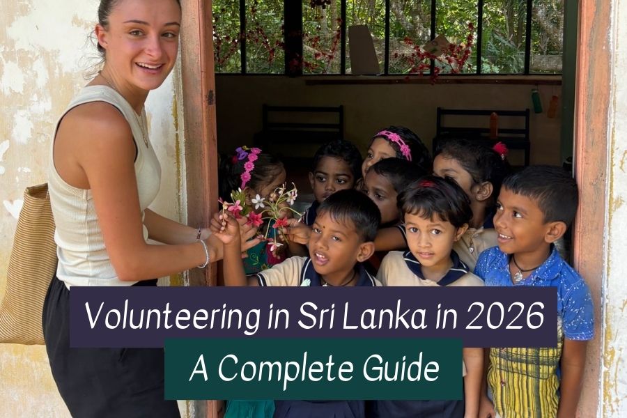 Volunteer in Sri Lanka