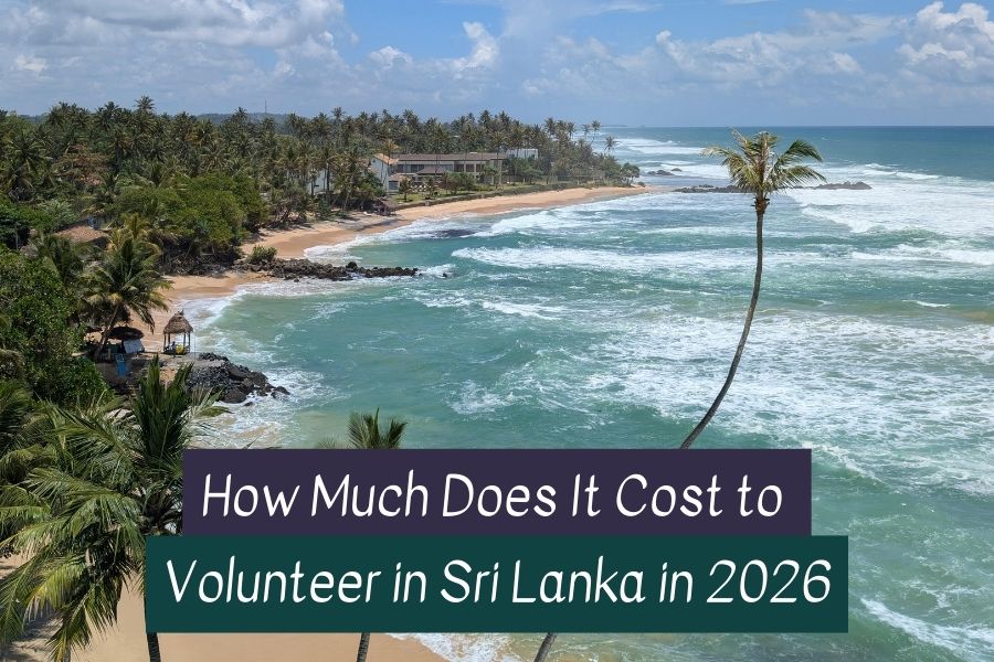 Volunteer in Sri Lanka