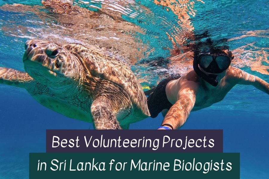 Volunteers in Sri Lanka