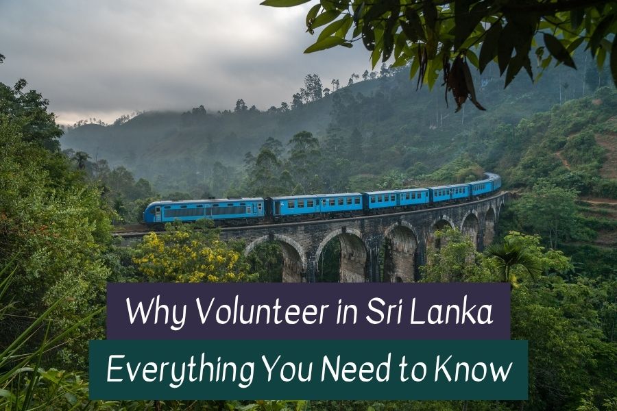 Volunteer in Sri Lanka