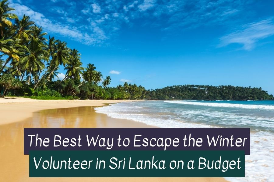 Volunteer in Sri Lanka