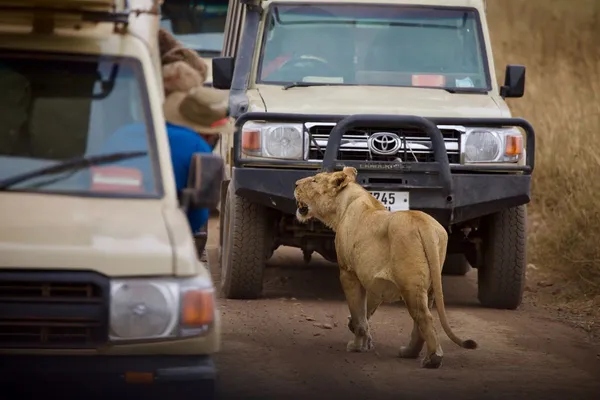 Yala National Park