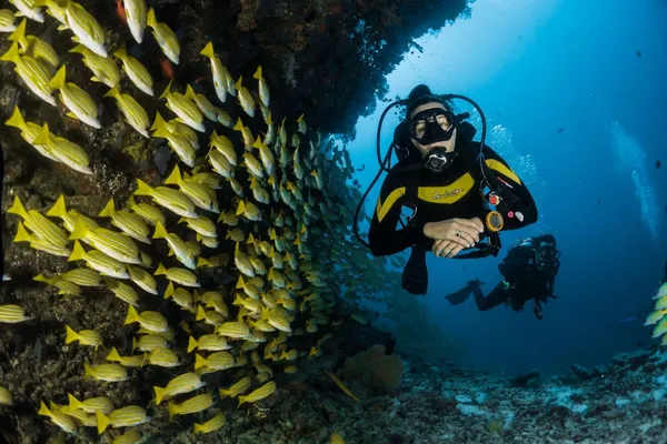 Diving and Snorkeling in Sri Lanka