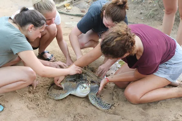 Sri Lanka Turtle Conservation Volunteers