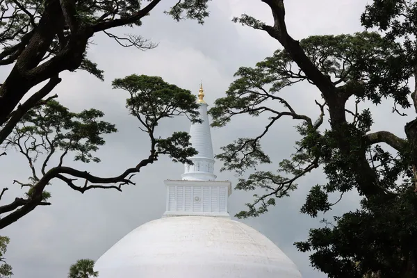 Ruwanweli Seya in Anuradhapura