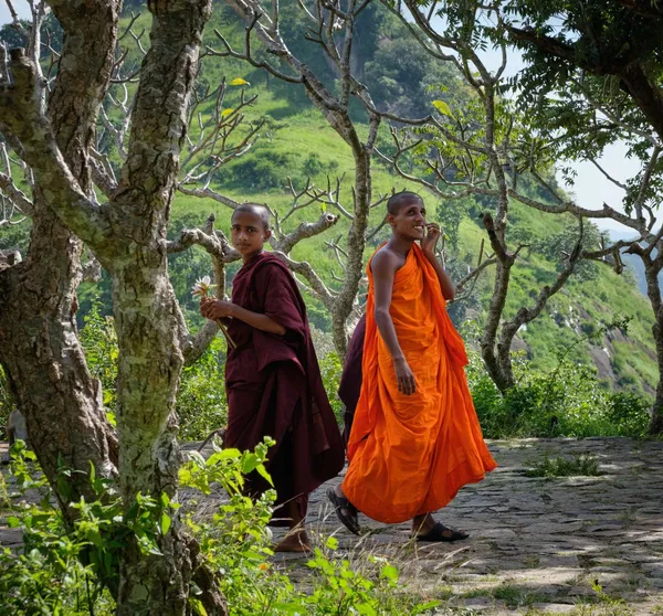 Dambulla in Sri Lanka