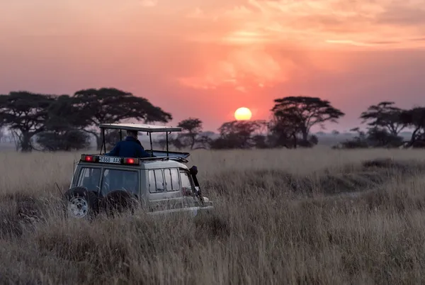 Safari Adventures in Sri Lanka