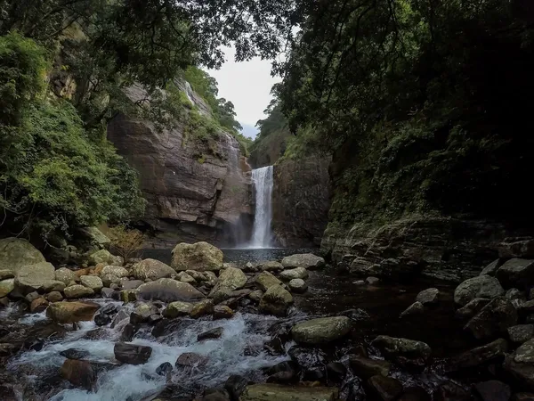 Rain Forests in Sri Lanka