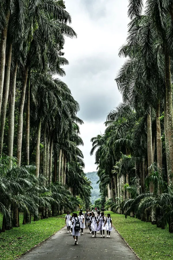 Peradeniya