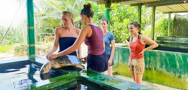 Sri Lanka Turtle Conservation Volunteers